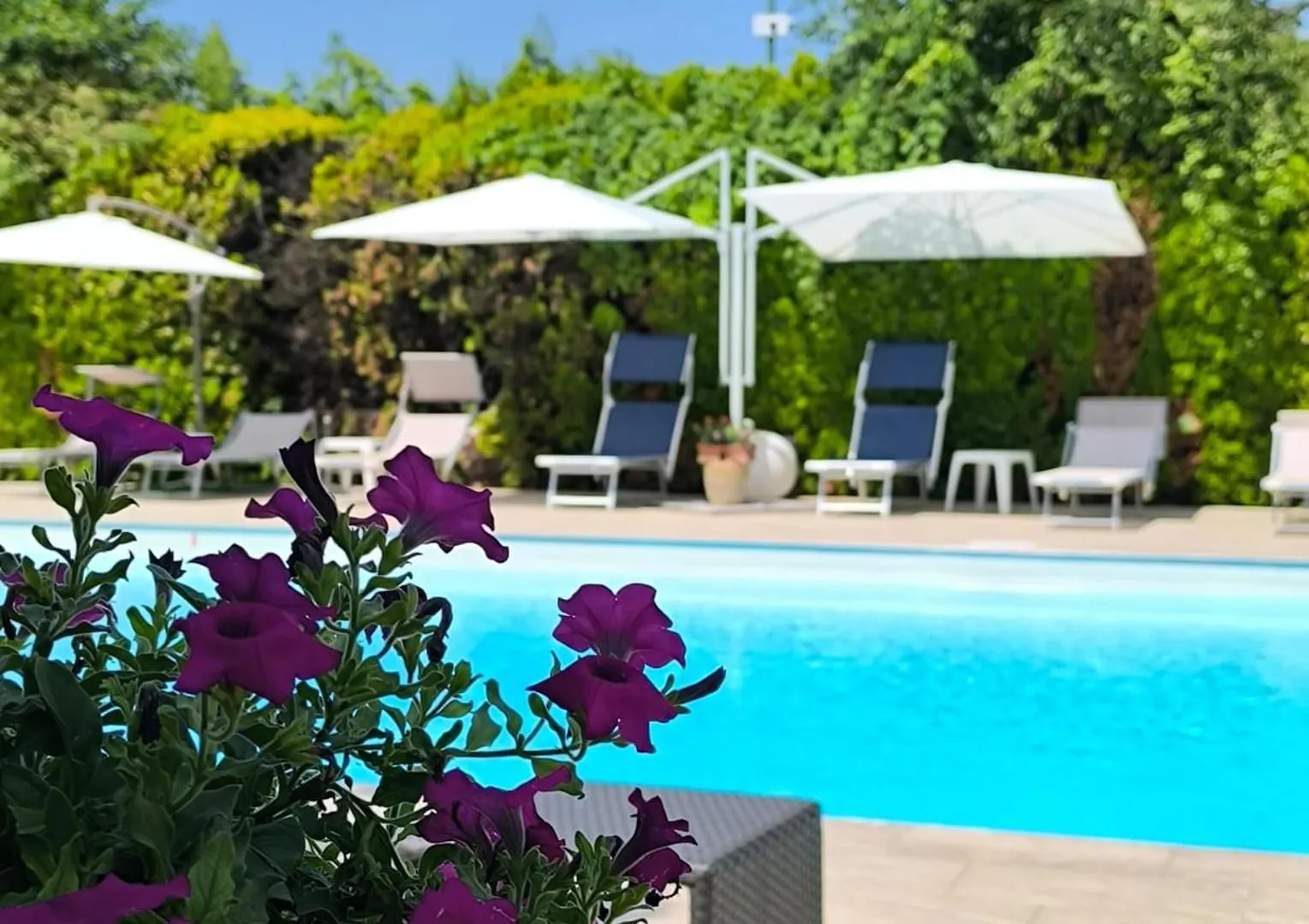 Hotel Albergo Zoello Je Suis Castelvetro di Modena